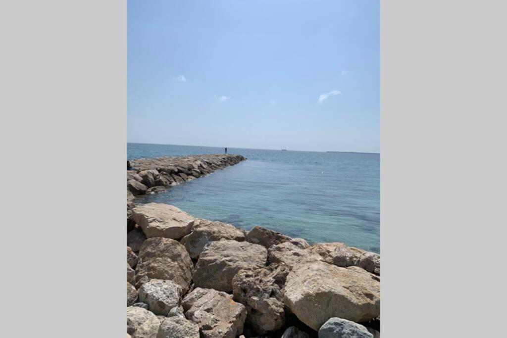 Juan Les Pins Joli T2 Parking Inclus! Apartment อองทีบส์ ภายนอก รูปภาพ